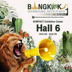 Bangkok International Exotic Plant Show and Sale 1